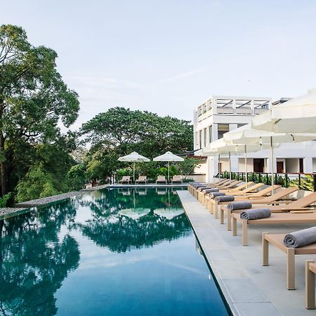 Treeline Urban Resort Siem Reap Bagian luar foto