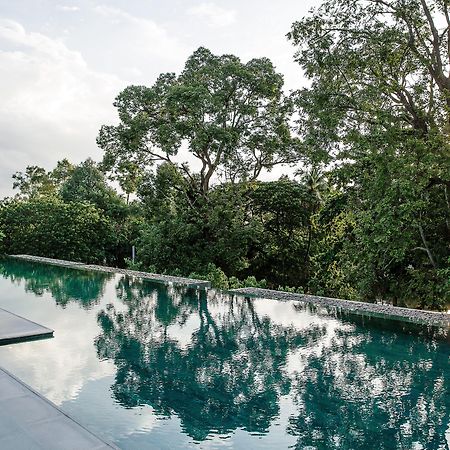 Treeline Urban Resort Siem Reap Bagian luar foto