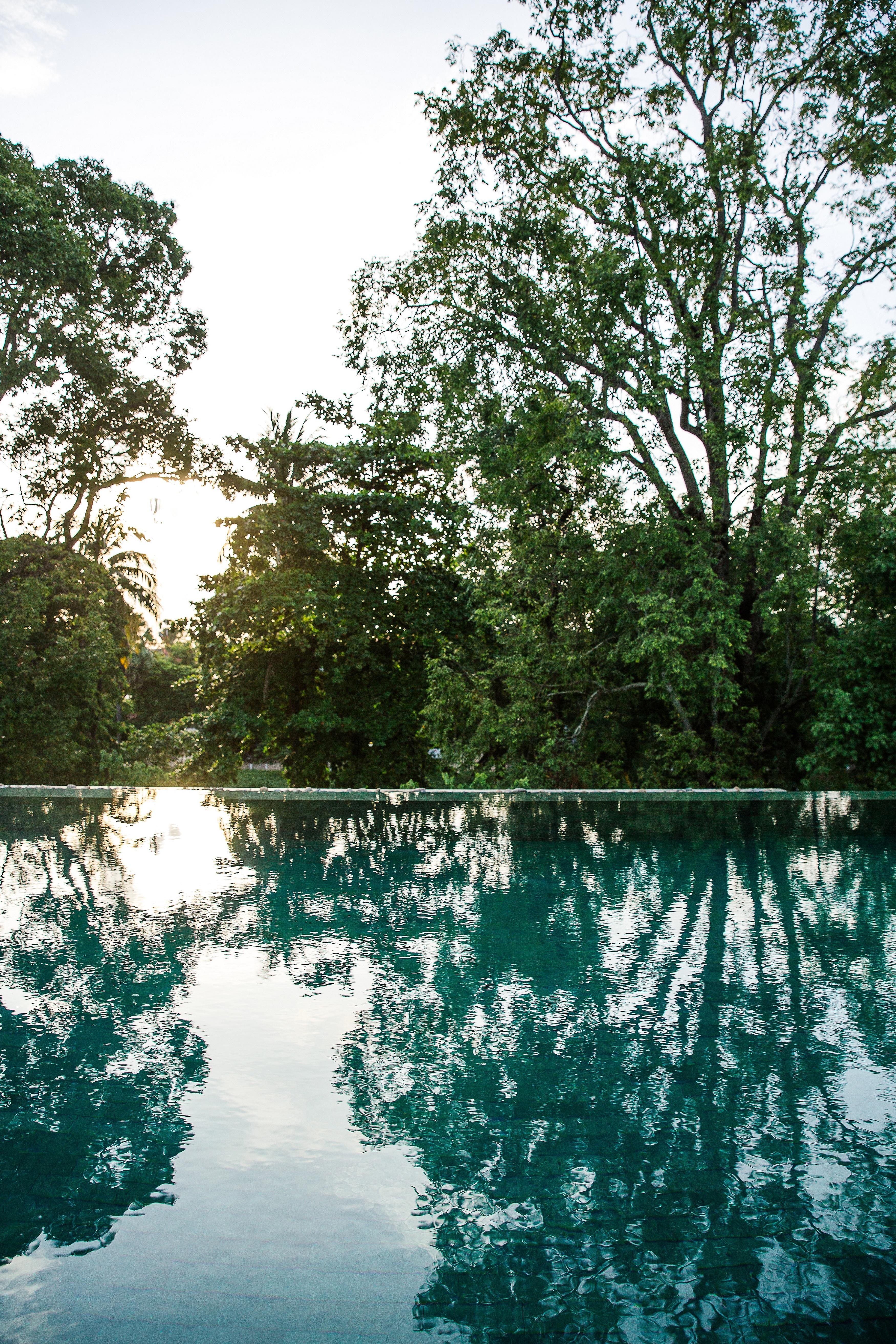 Treeline Urban Resort Siem Reap Bagian luar foto