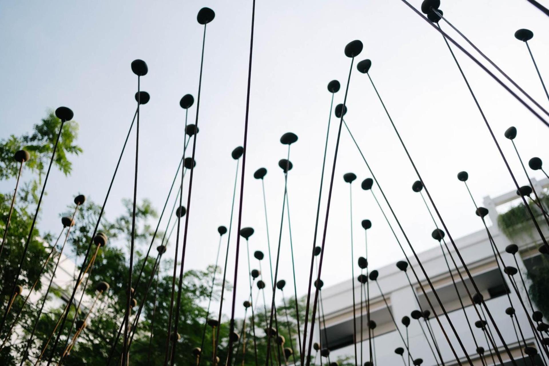 Treeline Urban Resort Siem Reap Bagian luar foto