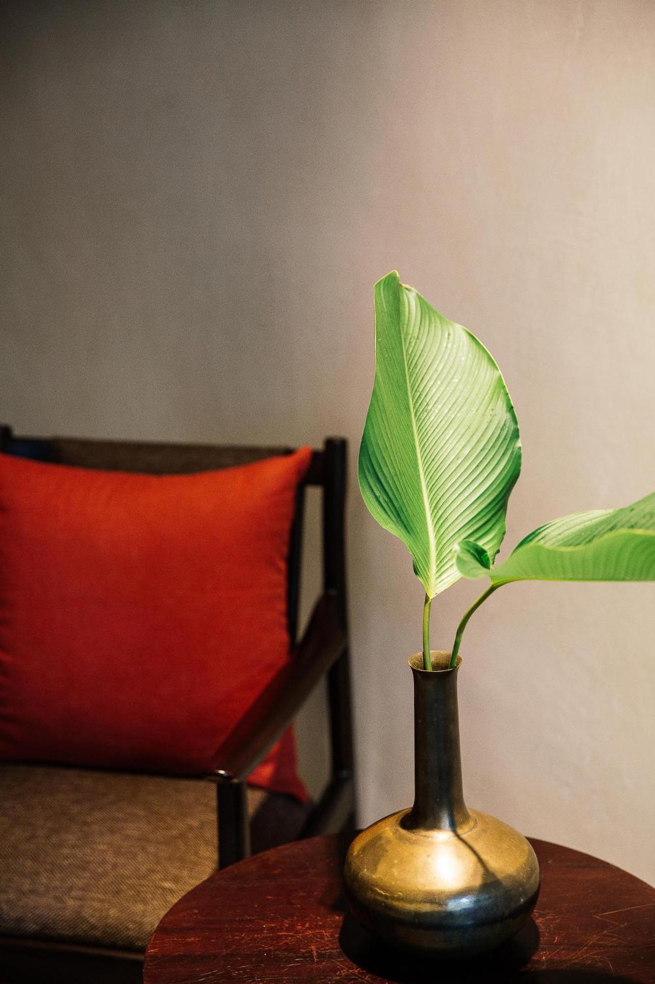 Treeline Urban Resort Siem Reap Bagian luar foto