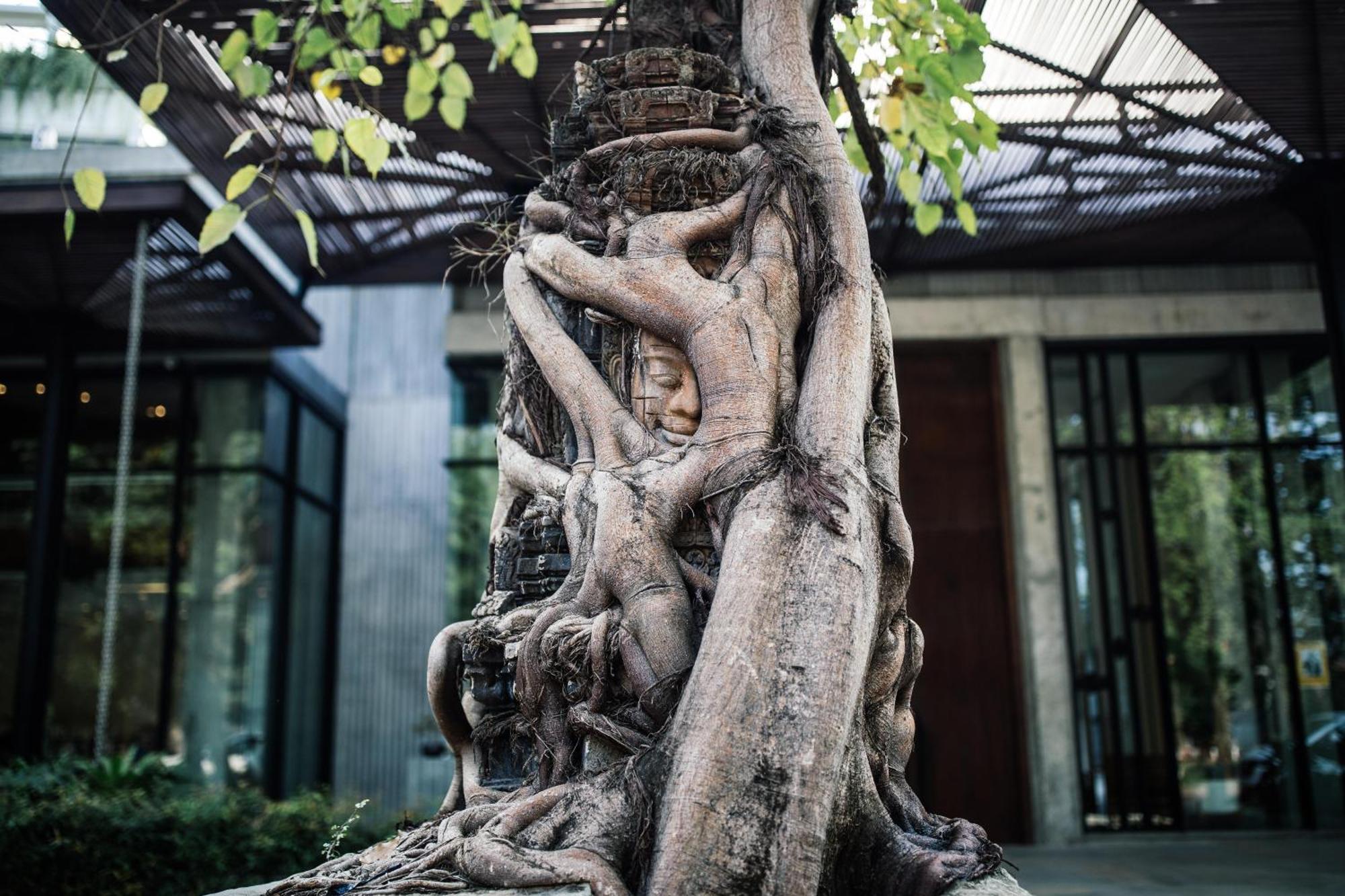 Treeline Urban Resort Siem Reap Bagian luar foto