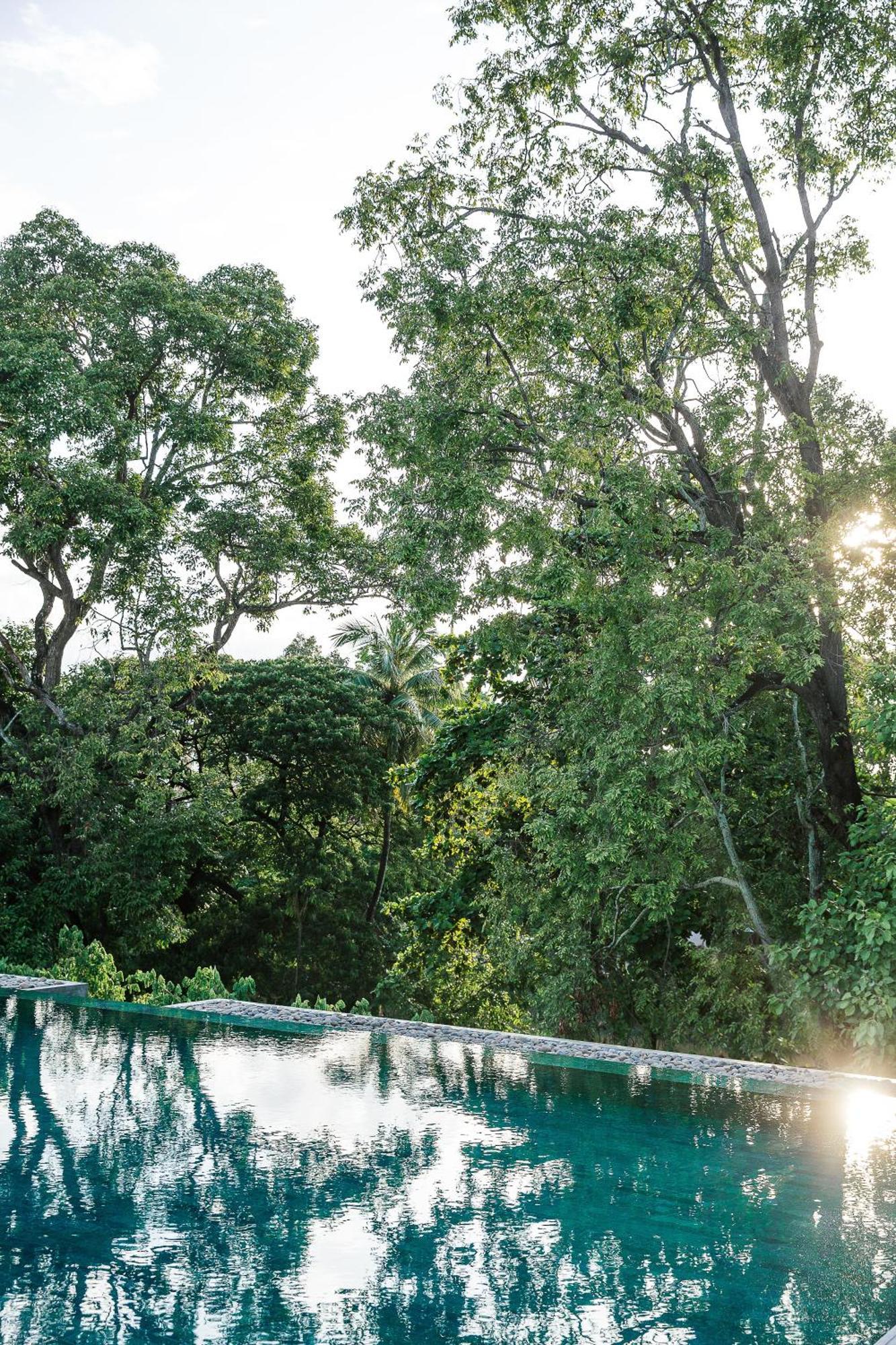 Treeline Urban Resort Siem Reap Bagian luar foto