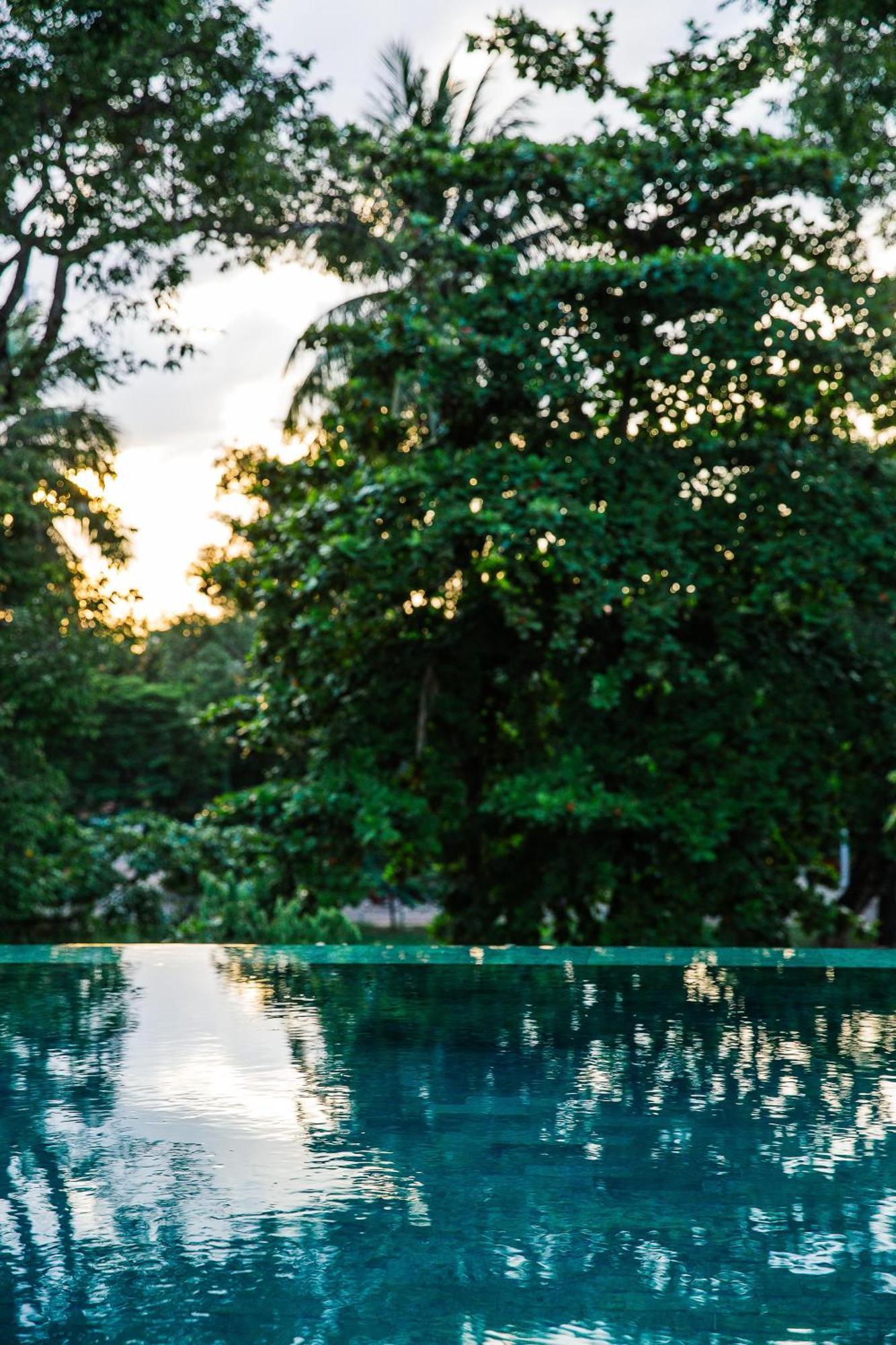 Treeline Urban Resort Siem Reap Bagian luar foto